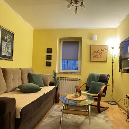 Apartment Festina Lente Apartment-center Of The City! *