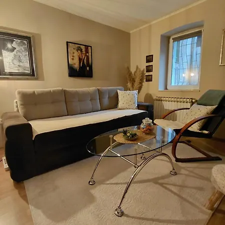 Apartman Festina Lente Apartment-center Of The City!