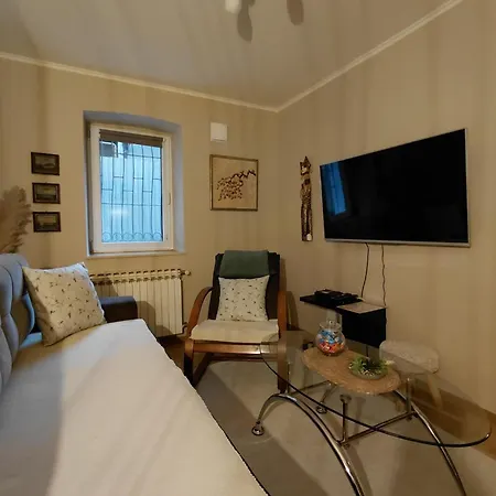 Festina Lente Apartment-center Of The City!